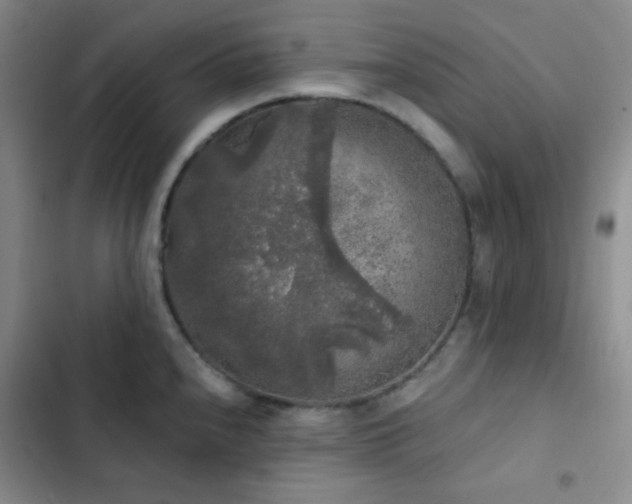X0000103221240200808281359