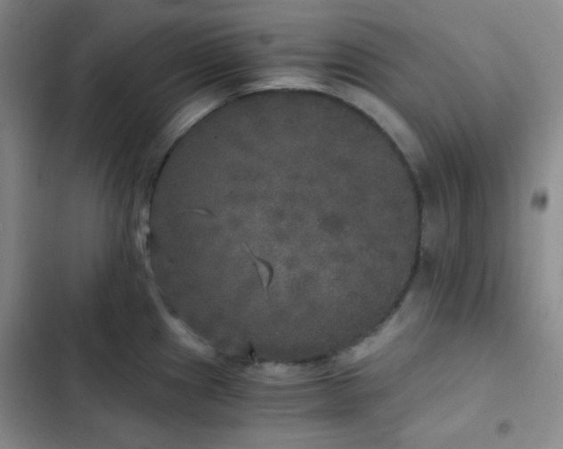 X0000103221241200808281359