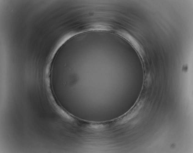 X0000103221243200808281359