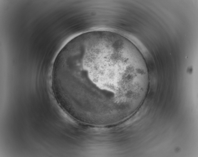 X0000103221244200808281359