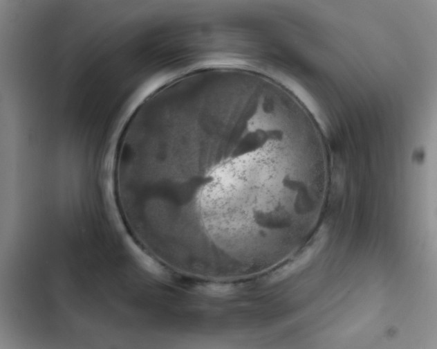 X0000103221245200808281359