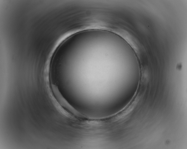 X0000103221246200808281359