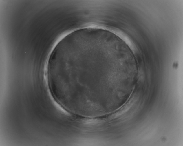 X0000103221247200808281359