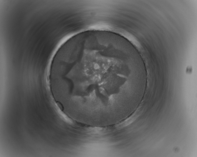 X0000103221248200808281400