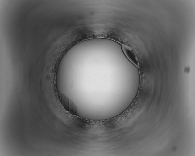 X0000103221249200808281359