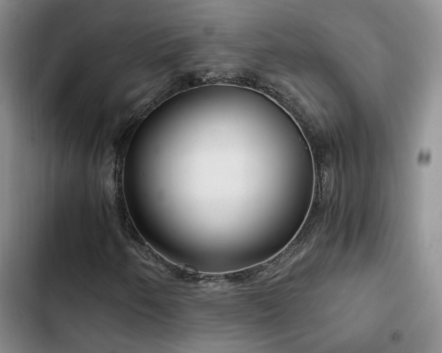 X0000103221250200808281359