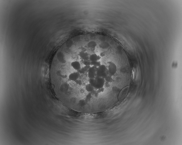 X0000103221251200808281359