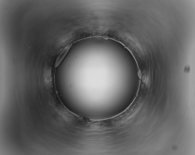 X0000103221252200808281359