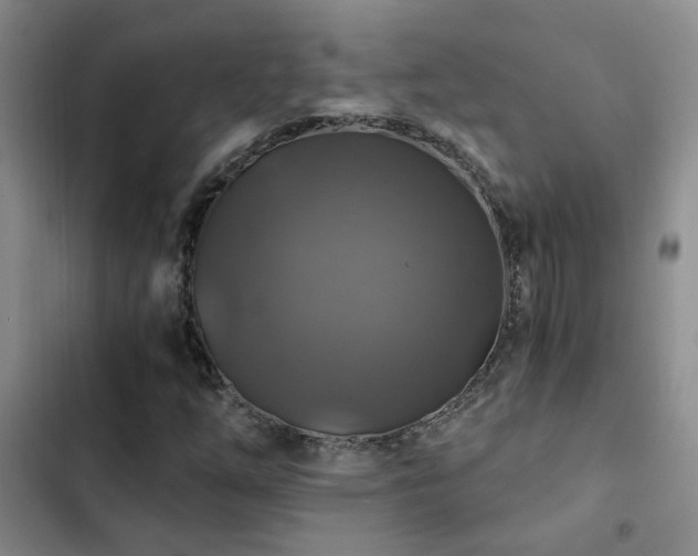 X0000103221254200808281359