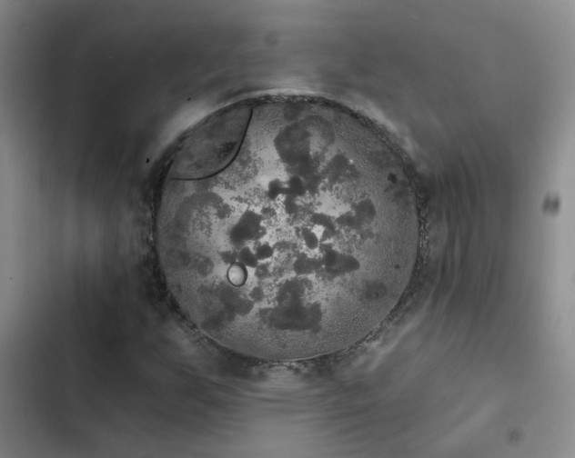 X0000103221255200808281359