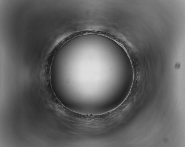 X0000103221256200808281359