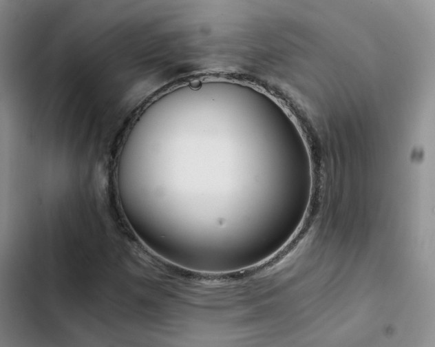 X0000103221257200808281359