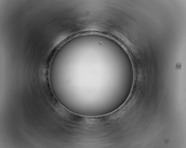 X0000103221258200808281359