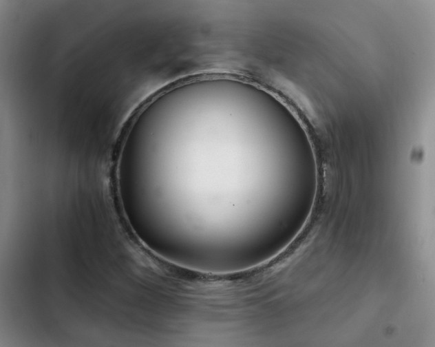 X0000103221260200808281359