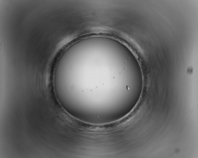 X0000103221261200808281359