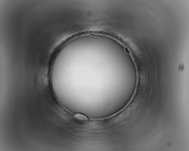 X0000103221262200808281358