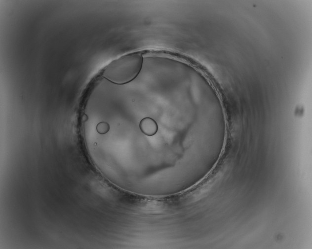 X0000103221263200808281358