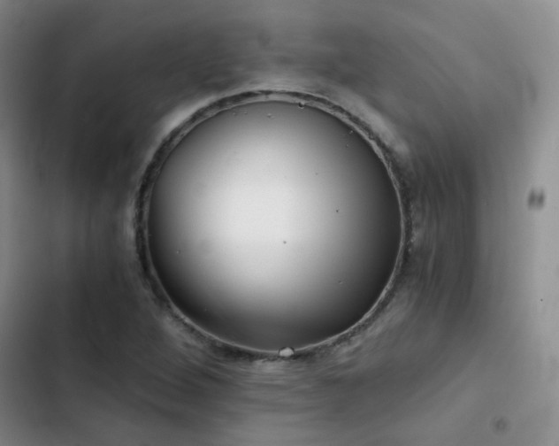 X0000103221264200808281358