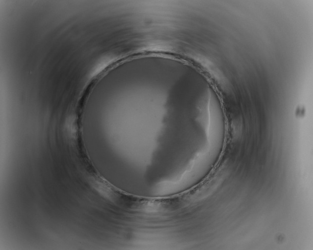 X0000103221266200808281358
