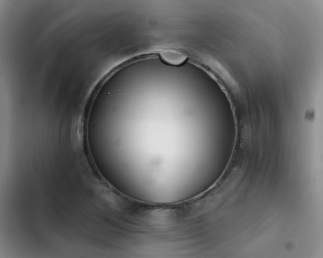 X0000103221268200808281358