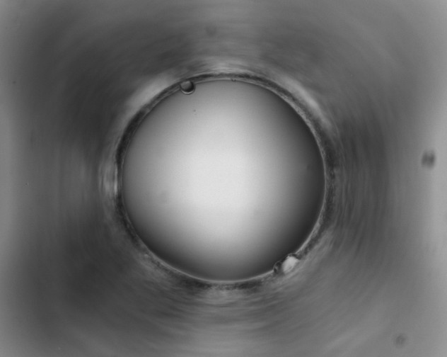 X0000103221269200808281358