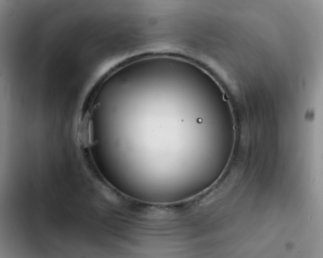 X0000103221270200808281358