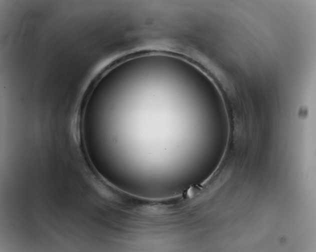 X0000103221272200808281358