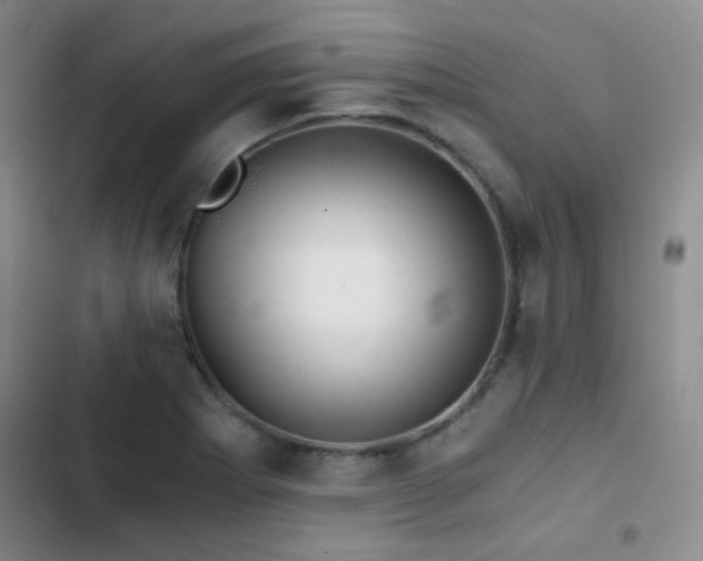 X0000103221273200808281358