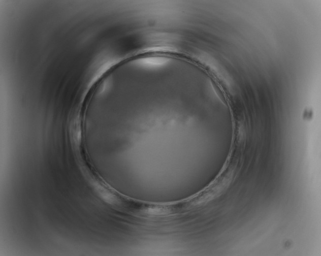 X0000103221274200808281358