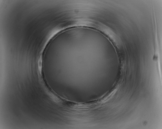 X0000103221275200808281358