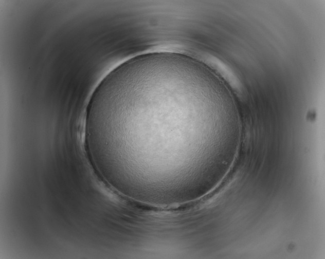 X0000103221276200808281358