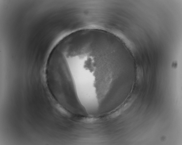 X0000103221278200808281358
