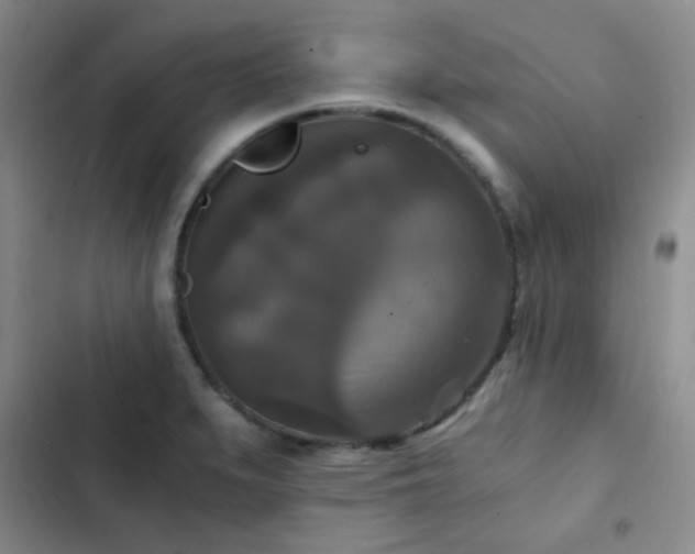 X0000103221279200808281358