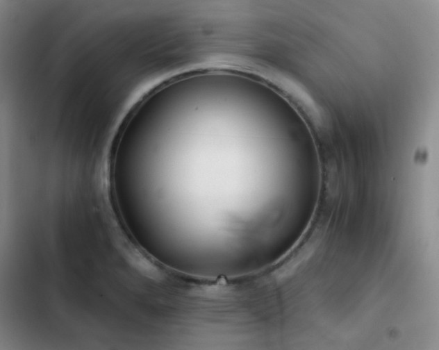 X0000103221280200808281358