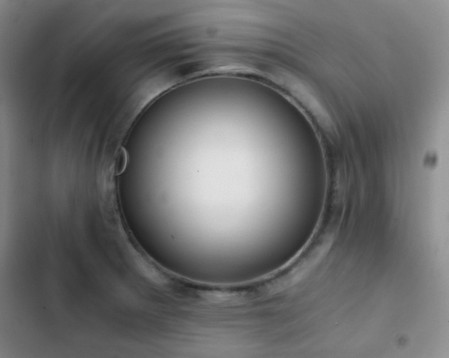 X0000103221281200808281358
