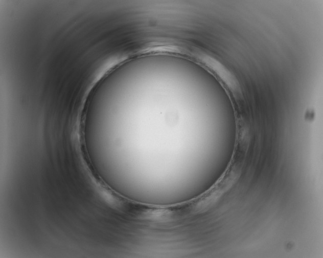 X0000103221282200808281358