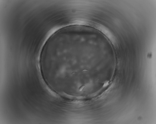 X0000103221283200808281358