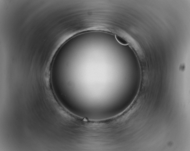 X0000103221284200808281358