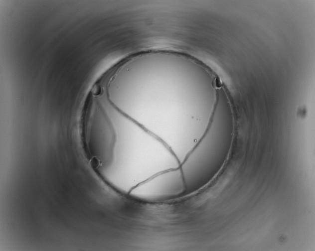 X0000103221285200808281358