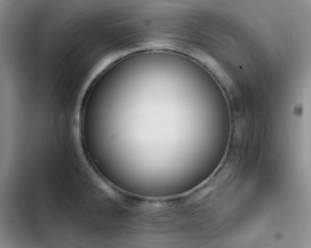 X0000103221286200808281358