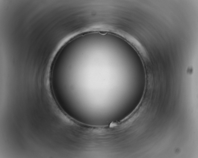 X0000103221288200808281358