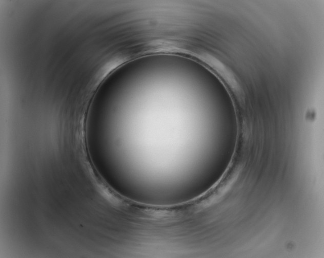 X0000103221289200808281358