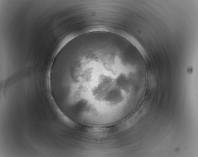 X0000103221290200808281358