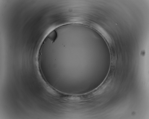 X0000103221291200808281358