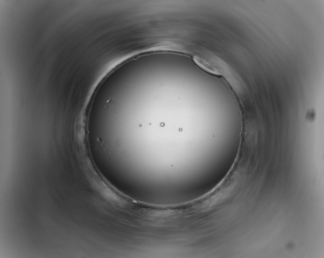 X0000103221292200808281358