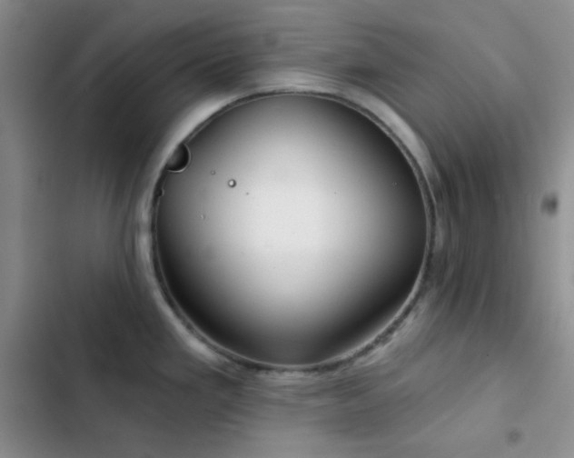 X0000103221293200808281358