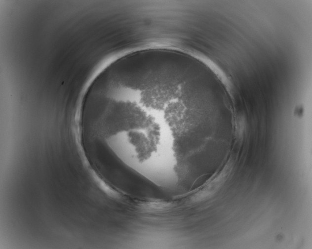 X0000103221294200808281358