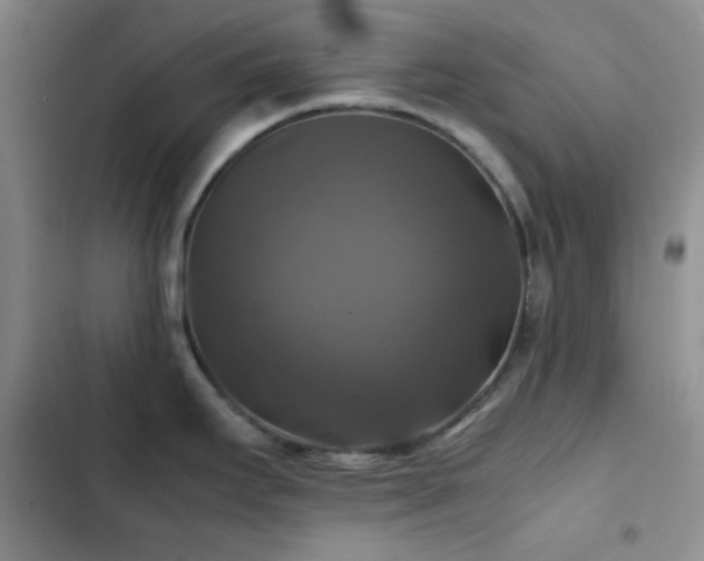X0000103221295200808281358