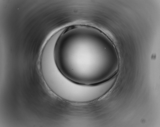 X0000103221296200808281358