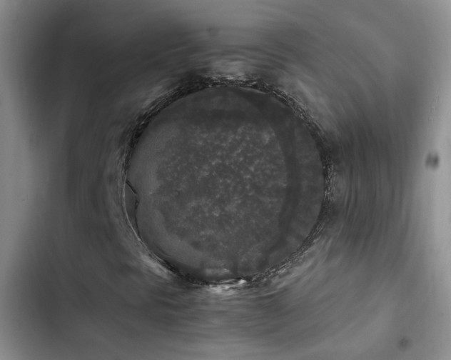 X0000103221297200808281357
